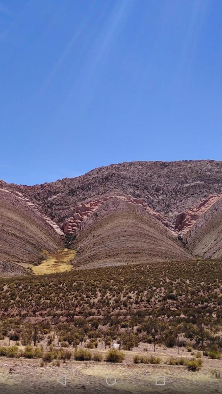 Bajo La Vina Lägenhet San Salvador de Jujuy Exteriör bild